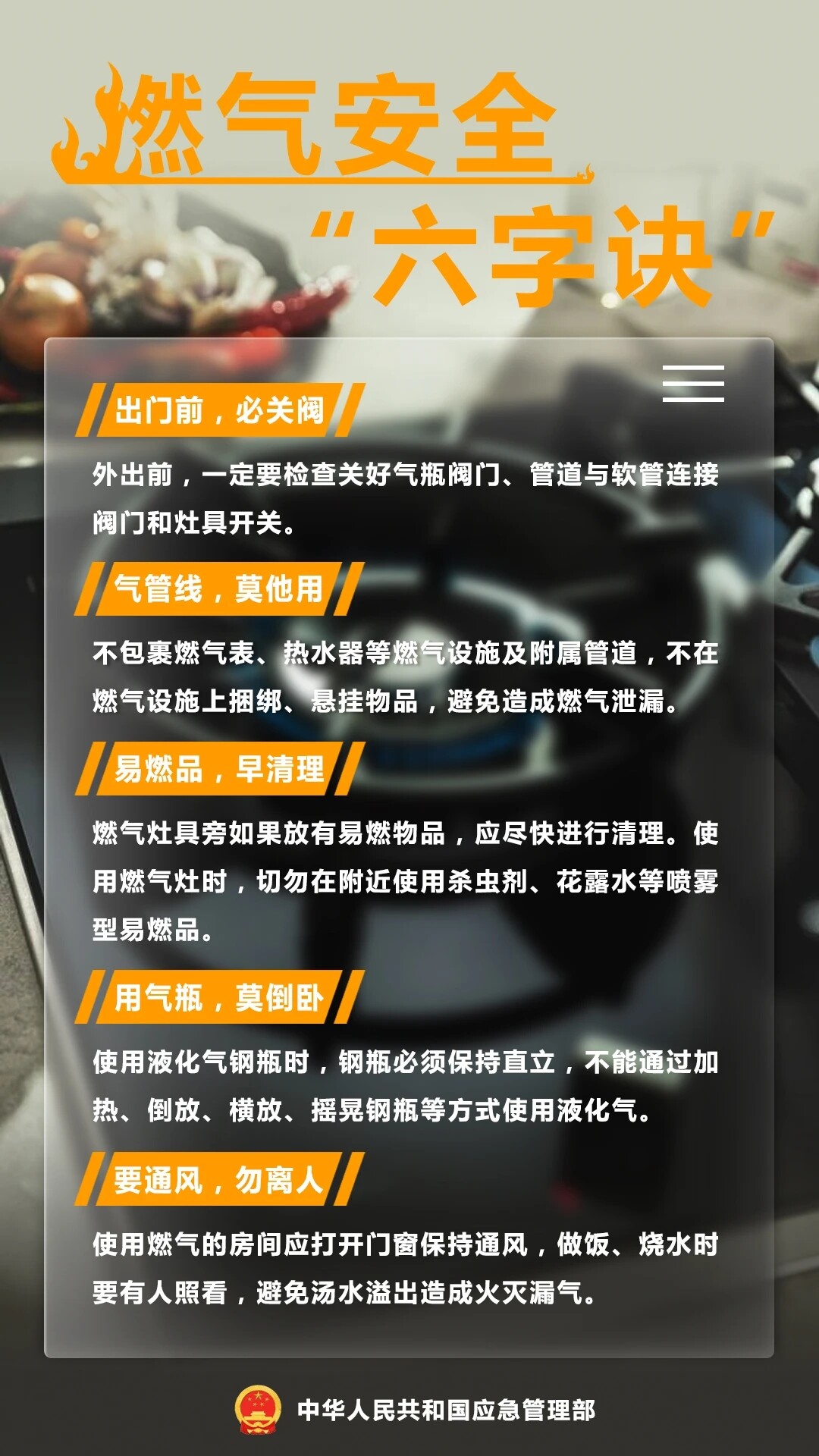 燃?xì)獍踩衷E.docx_1