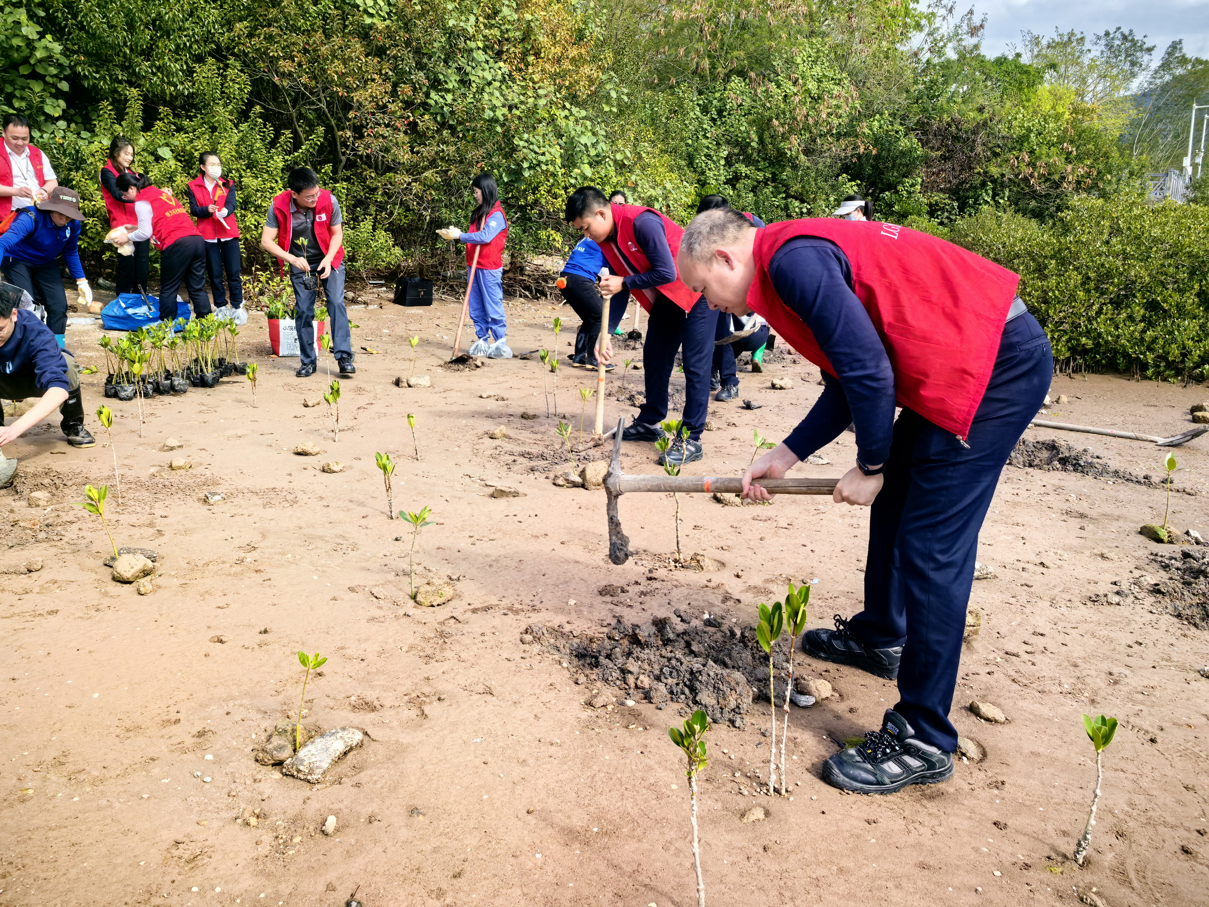 大亞灣石化區(qū)黨群共心同植新綠.docx_2